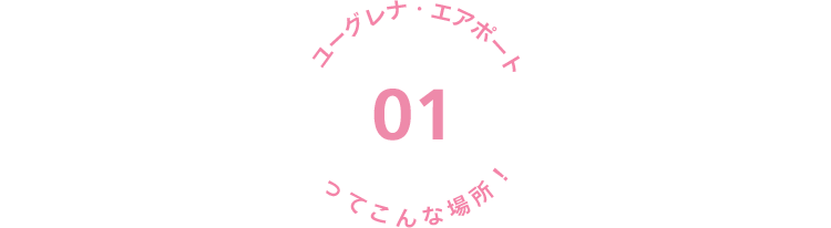 01 ユーグレナ・エアポートってこんな場所！