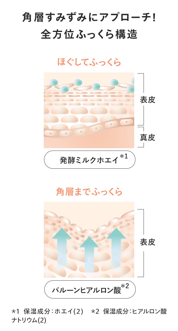 角層のすみずみにアプローチ 全方位ふっくら構造 発酵ミルクホエイ バルーンヒアルロン酸