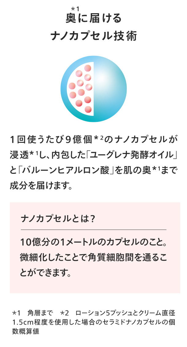 奥に届けるナノカプセル技術