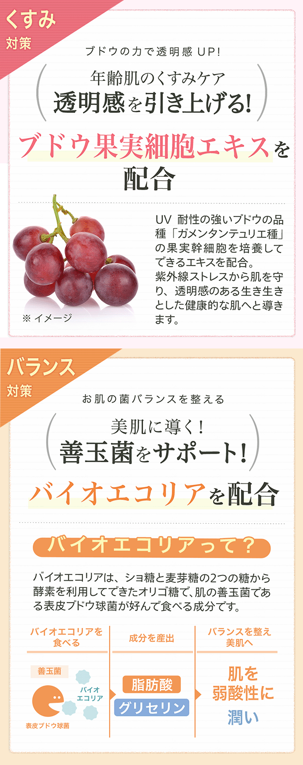 透明感を引き上げる ブドウ果実細胞エキス 美肌に導く善玉菌をサポート バイオエコリアを配合