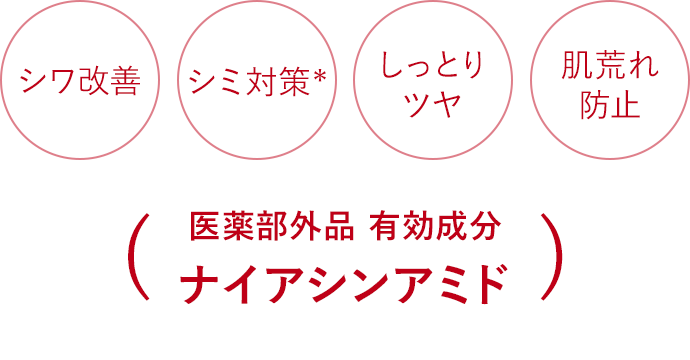 医薬部外品 有効成分 ナイアシンアミド