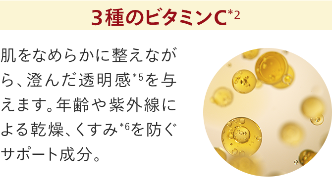 3種のビタミンC
