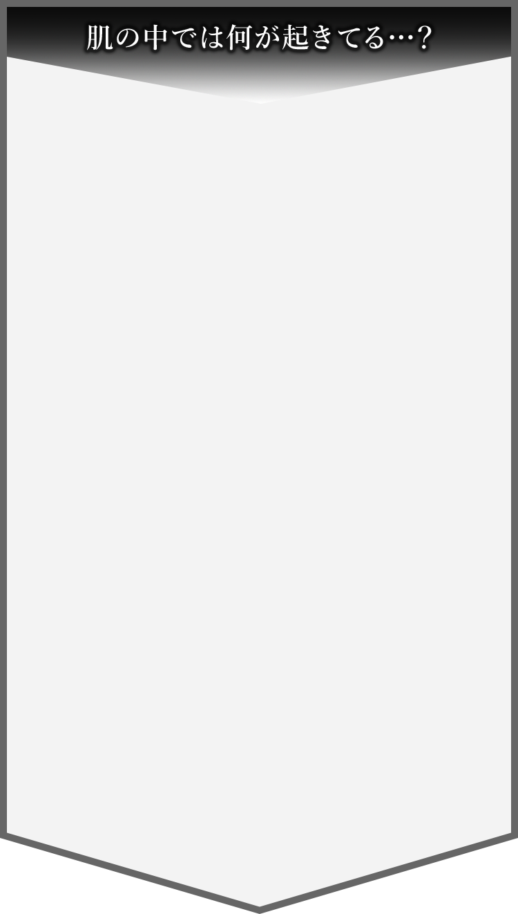 肌の中では何が起きてる…？
