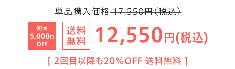 初回5,000円OFF 送料無料 12,550円(税込)
