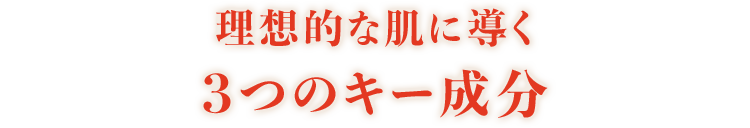 理想的な肌に導く3つのキー成分