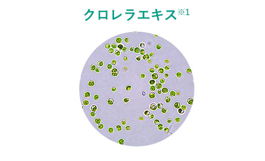 透明感とうるおいを与える石垣島クロレラ
