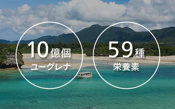 10億個ユーグレナ・59種栄養素