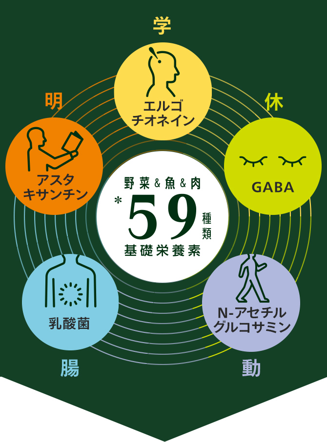 エルゴチオネイン、GABA、アスタキサンチン、乳酸菌、N-アセチルグルコサミン、59種類の基礎栄養素