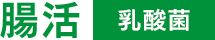 腸活 乳酸菌