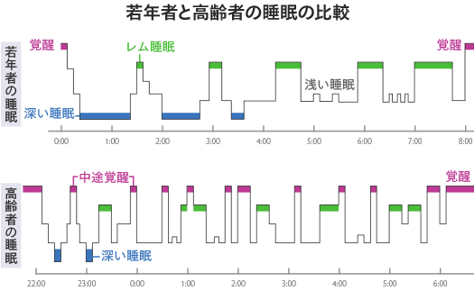 若年者と高齢者の睡眠の比較