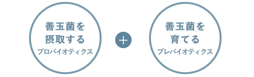 メディカプラス ビフィズス菌 乳酸菌 ユーグレナオンライン