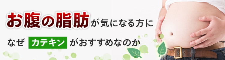 お腹の脂肪が気になる方に なぜ「カテキン」がおすすめなのか