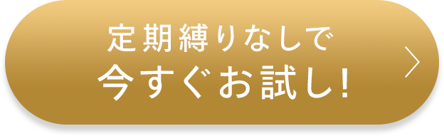 定期縛りなしで今すぐお試し！