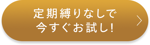 定期縛りなしで今すぐお試し！