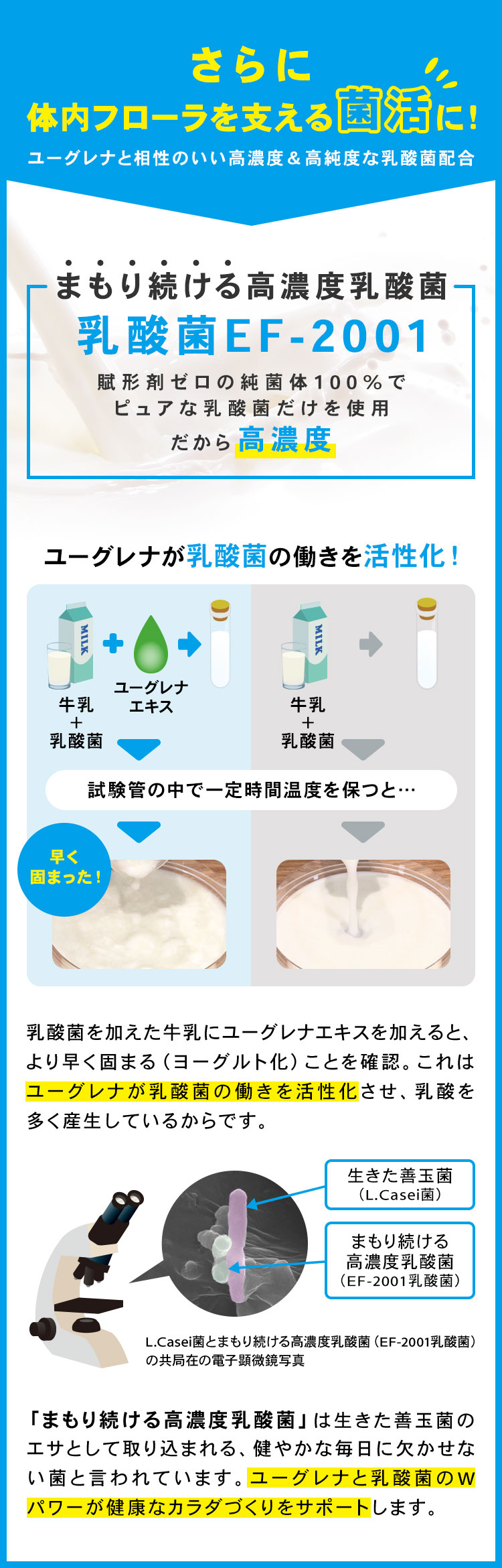 ユーグレナ公式通販からだにユーグレナ Green Tablet 乳酸菌 ユーグレナ オンライン