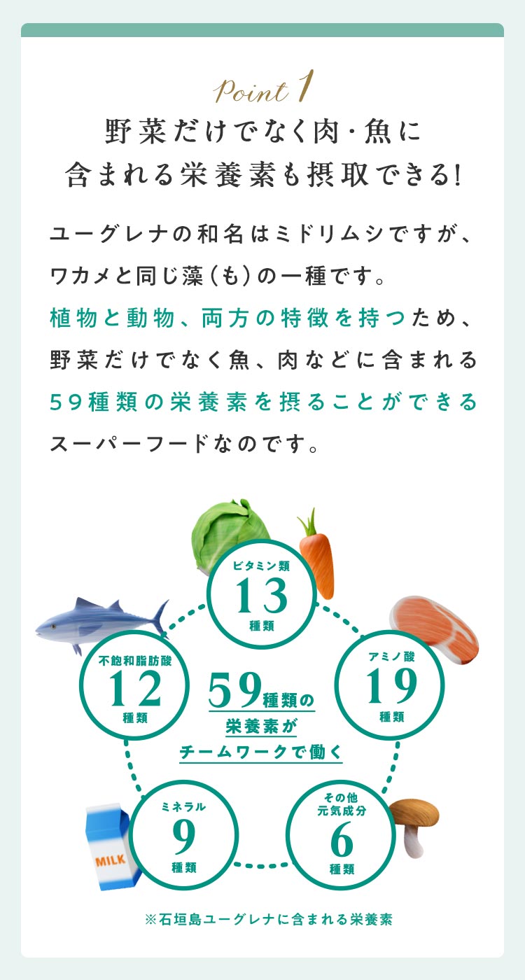 point01野菜だけでなく肉・魚に含まれる栄養素も摂取できる！