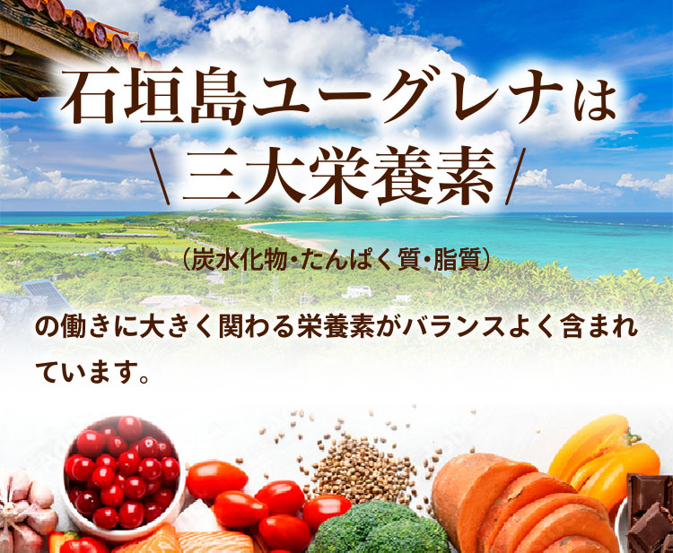 石垣島ユーグレナは三大栄養素の働きに関わる栄養素がバランスよく含まれています。