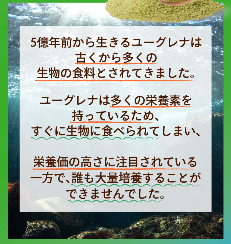 5億年前から生きるユーグレナは古くから多くの生物の食料とされてきました。