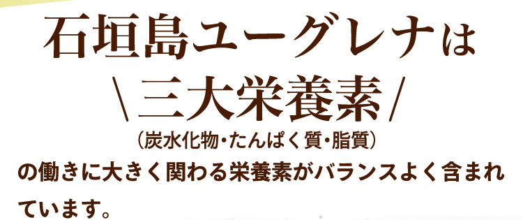 石垣島ユーグレナは三大栄養素の働きに大きく関わる栄養素がバランスよく含まれています