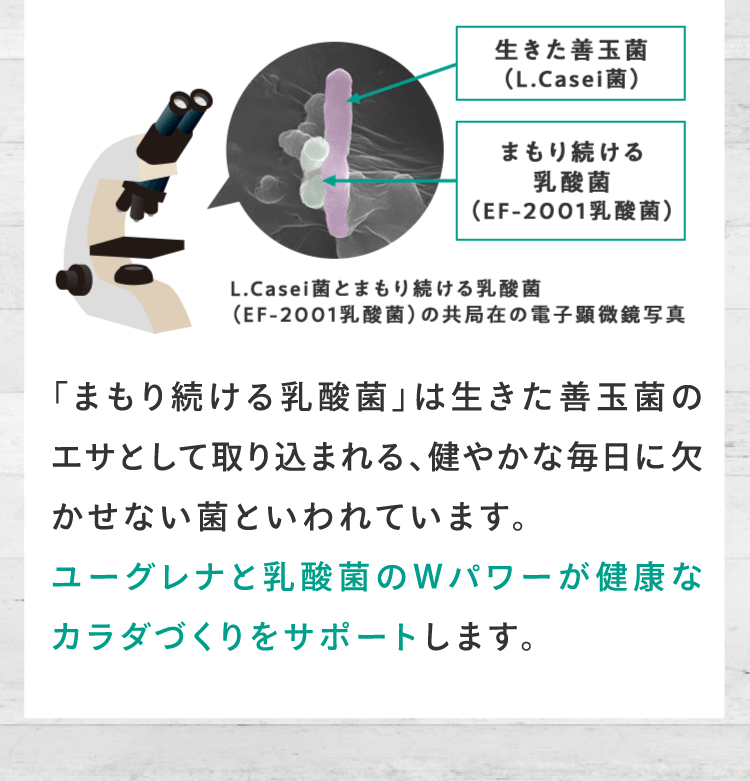 ユーグレナと乳酸菌のWパワーが健康なカラダづくりをサポートします