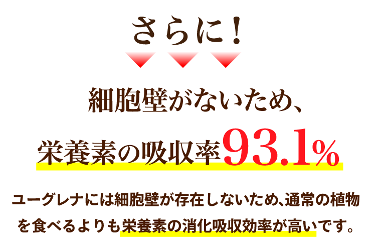 さらに！細胞壁がないため、栄養素の吸収率93.1%