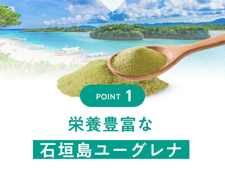 【POINT1】栄養豊富な石垣島ユーグレナ