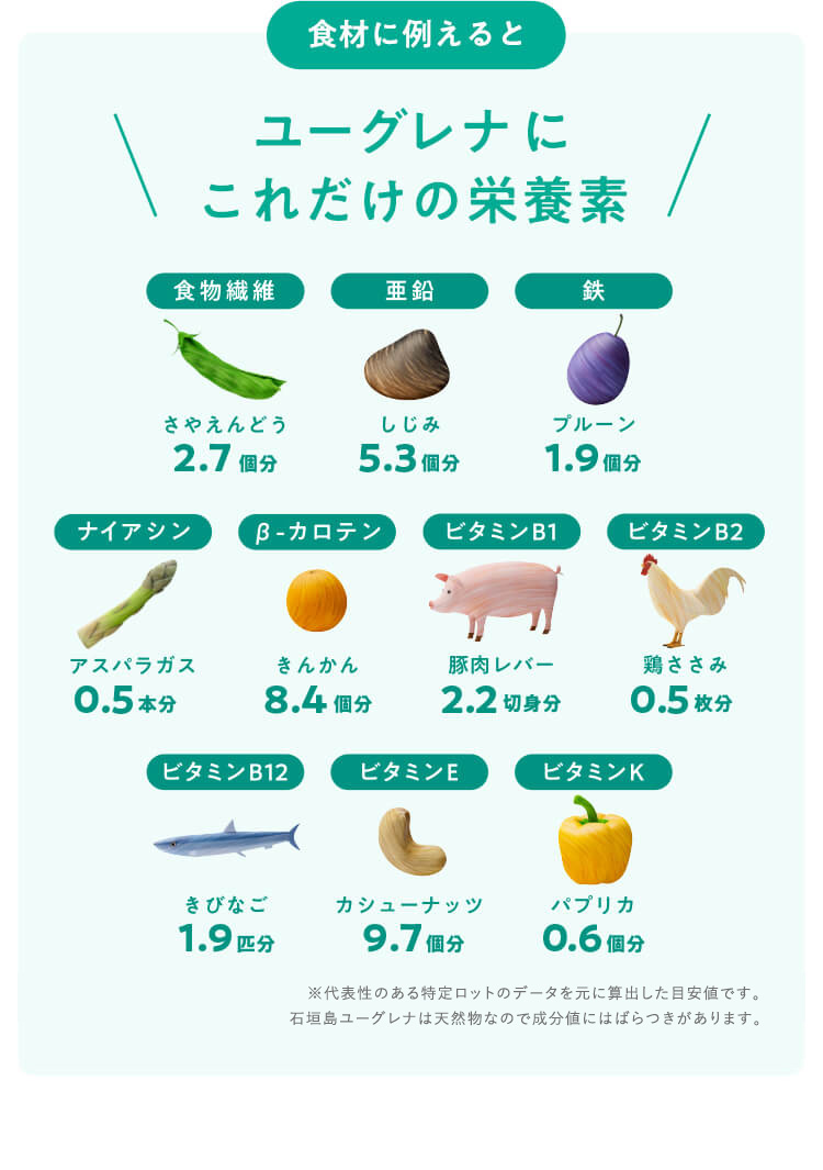 【食材に例えると】ユーグレナにこれだけの栄養素