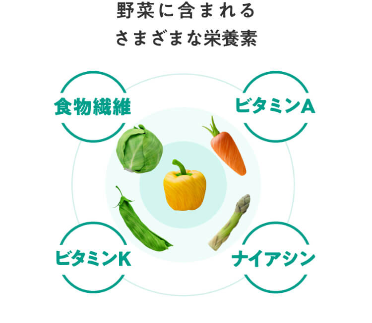 野菜に含まれるさまざまな栄養素